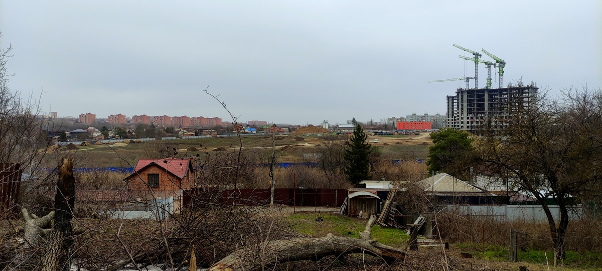 Что осталось от рощи