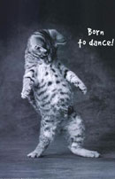 ������� ���� �������!